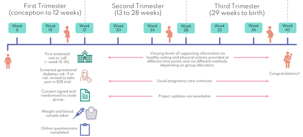 Trial journey - pregnancy